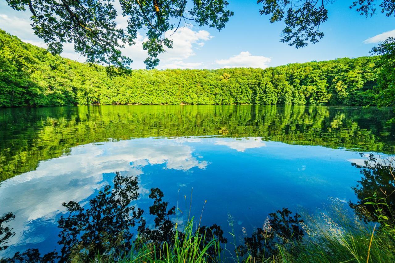 Familienhotel "Rhoen Feeling" Bernshausen Экстерьер фото